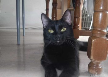 ccf15edd-b473-4a4a-b5e7-87bc41ae1978